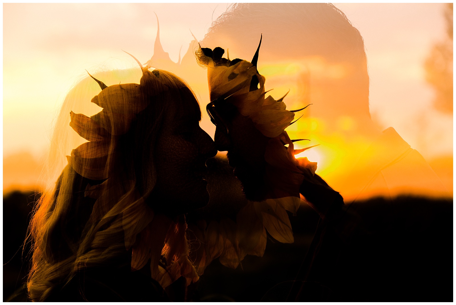 engagement photos in a sunflower field