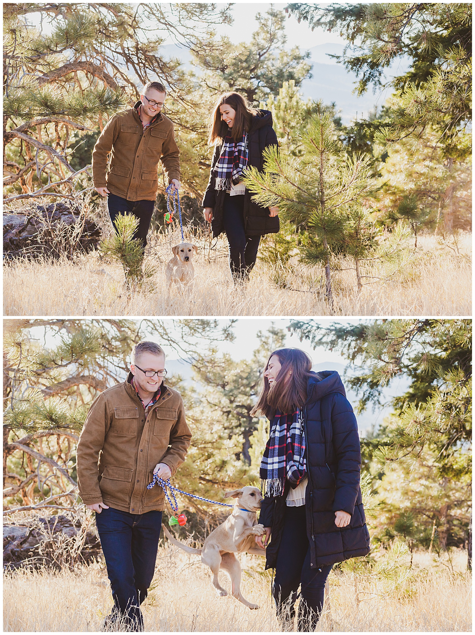 december engagement session with puppy