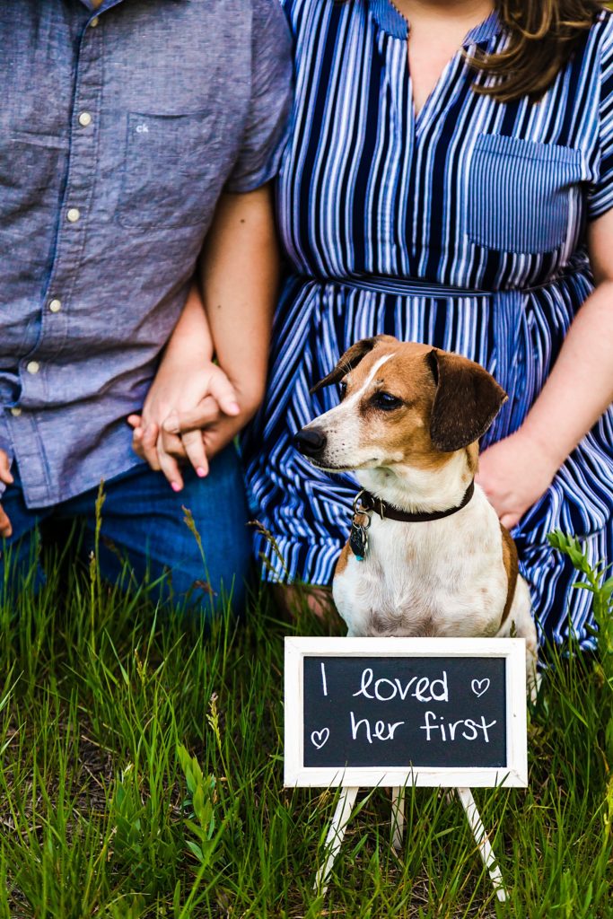 engagement photo inspiration with dogs