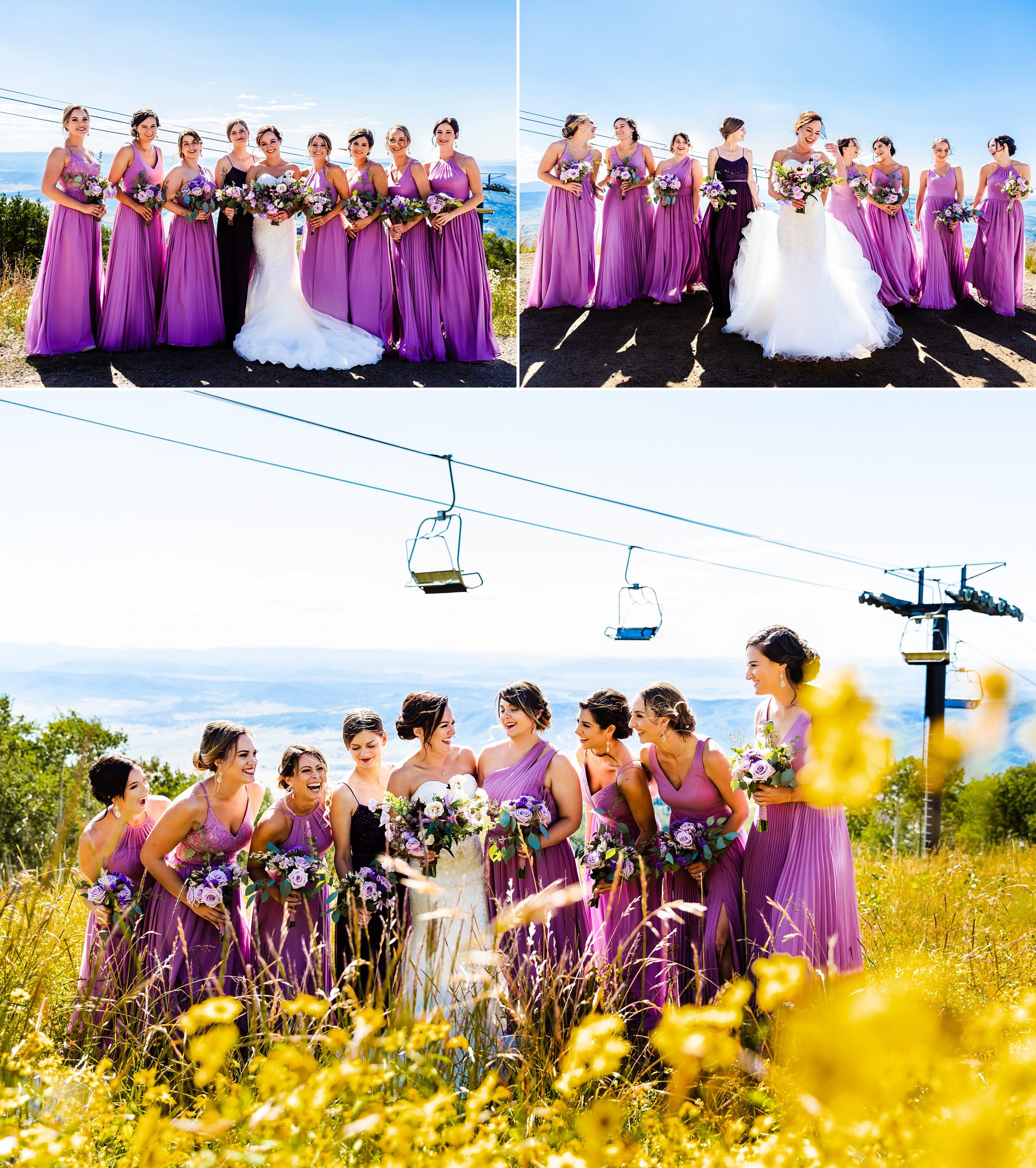 Bridal party in field of flowers in Steamboat Springs